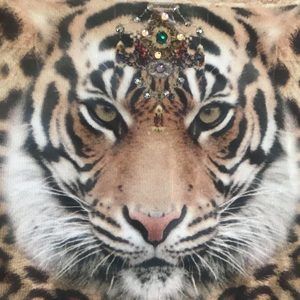 Meet your Posher, Sonya